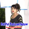 About Pal Pal Teri yad Sataw Song